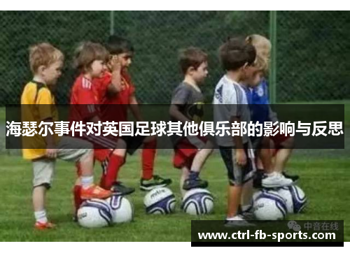 海瑟尔事件对英国足球其他俱乐部的影响与反思